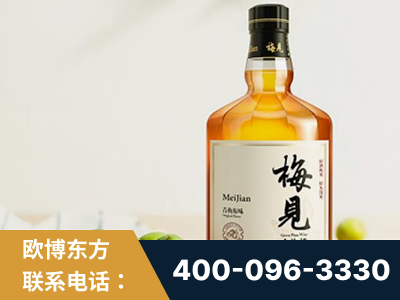 广汉-梅见青梅酒